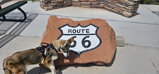 Dog hike 30 min - Mooresville NC